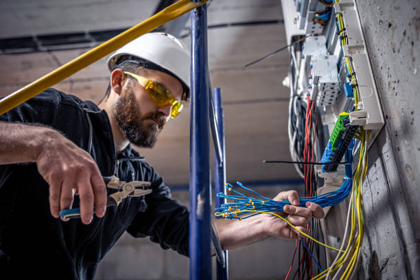 Best Electric Panel Repair  in Elmwood, IL